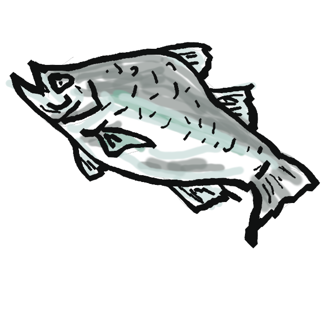 【鱸】スズキ目スズキ科の海水魚。全長約90センチ。体は細長く、側扁する。背側は灰青色で、腹側は銀白色。幼魚には背部と背びれとに小黒点がある。北海道以南から東シナ海に産し、夏季には河川に入る。出世魚の一で、セイゴ・フッコ・スズキと呼び名が変わる。美味で、夏秋が旬。